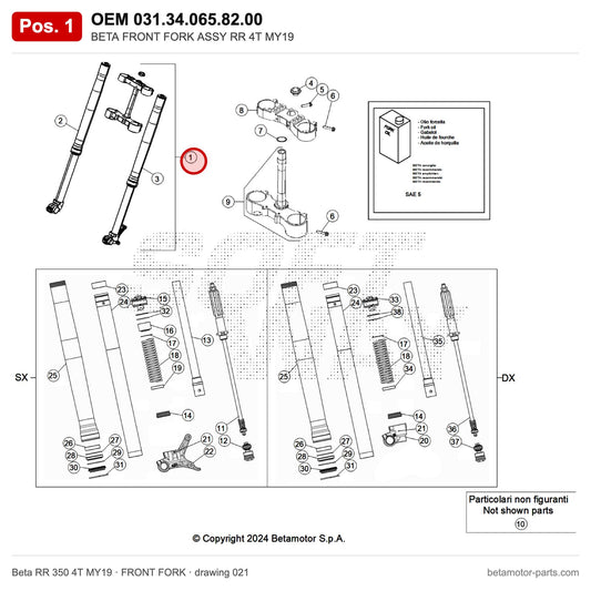 BETA FRONT FORK ASSY RR 4T MY19 – OEM 031.34.065.82.00, position 1 on the Beta RR 350 4T MY19 front fork drawing