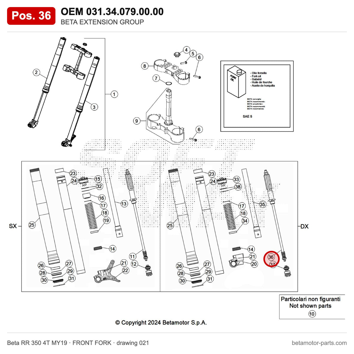 BETA EXTENSION GROUP – OEM 031.34.079.00.00, position 36 on the Beta RR 350 4T MY19 front fork drawing