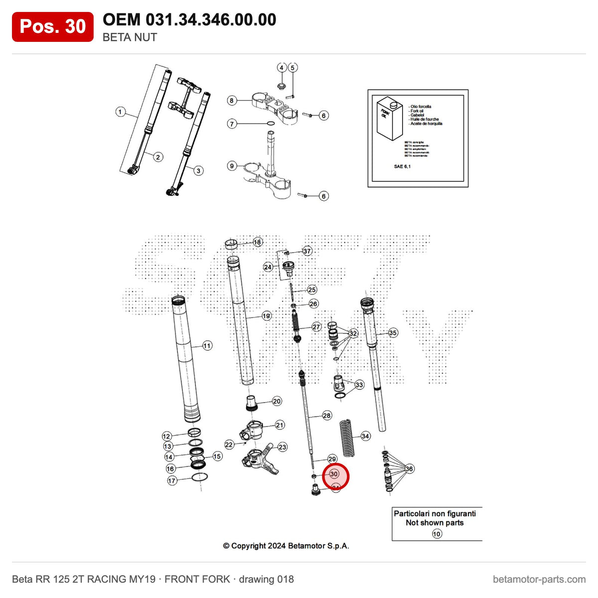 BETA NUT – OEM 031.34.346.00.00, position 30 on the Beta RR 125 2T RACING MY19 front fork drawing