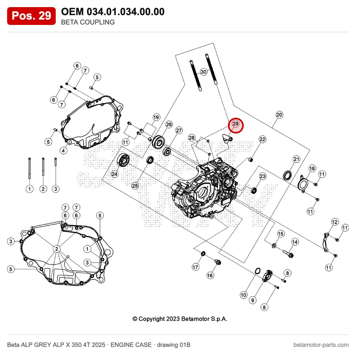 BETA COUPLING – OEM 034.01.034.00.00, position 29 on the Beta ALP GREY ALP X 350 4T 2025 engine case drawing