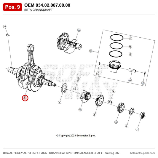 BETA CRANKSHAFT – OEM 034.02.007.00.00, position 9 on the Beta ALP GREY ALP X 350 4T 2025 crankshaft/piston/balancer shaft drawing