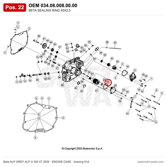 BETA SEALING RING 55X2,5 – OEM 034.08.008.00.00, position 22 on the Beta ALP GREY ALP X 350 4T 2025 engine case drawing