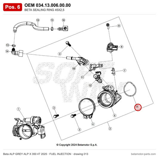 BETA SEALING RING 45X2,5 – OEM 034.13.006.00.00, position 6 on the Beta ALP GREY ALP X 350 4T 2025 fuel injection drawing