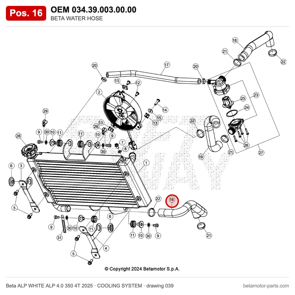 BETA WATER HOSE – OEM 034.39.003.00.00, position 16 on the Beta ALP WHITE ALP 4.0 350 4T 2025 cooling system drawing