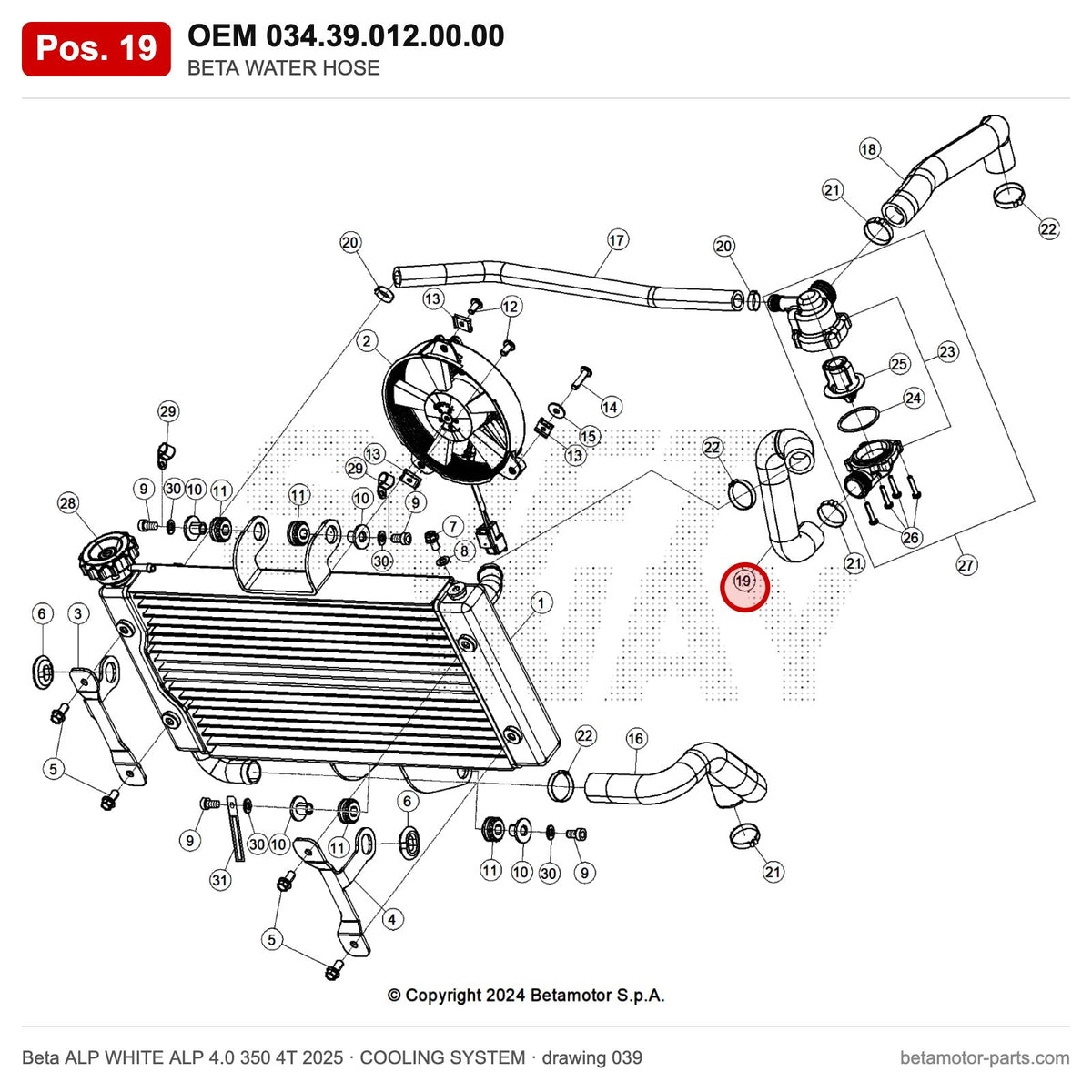 BETA WATER HOSE – OEM 034.39.012.00.00, position 19 on the Beta ALP WHITE ALP 4.0 350 4T 2025 cooling system drawing