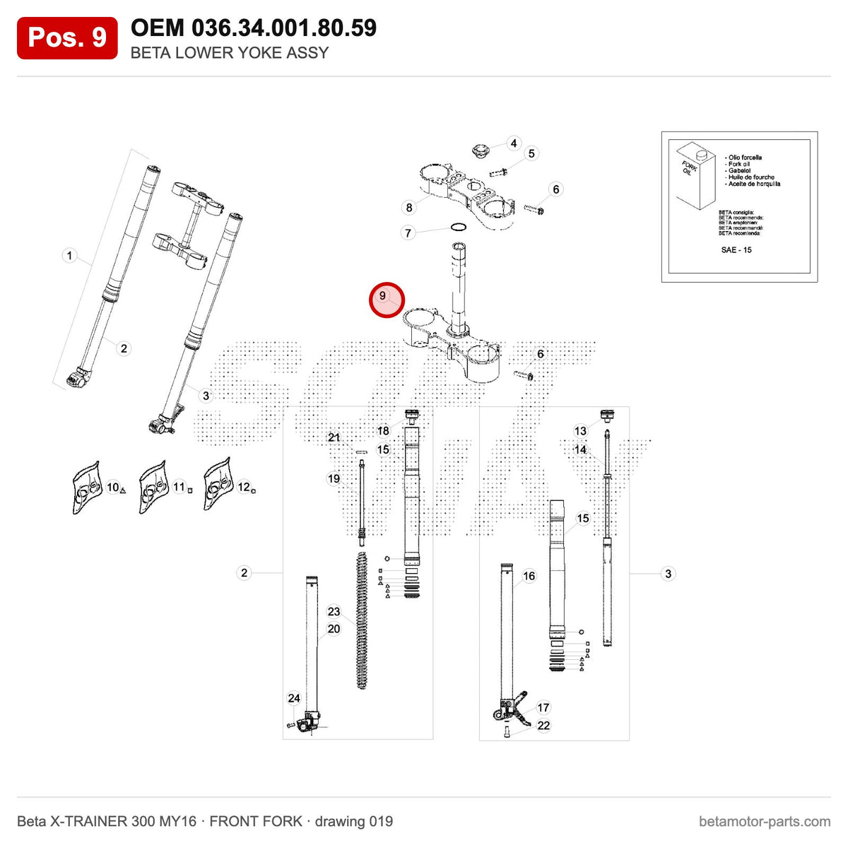 BETA LOWER YOKE ASSY – OEM 036.34.001.80.59, position 9 on the Beta X-TRAINER 300 MY16 front fork drawing