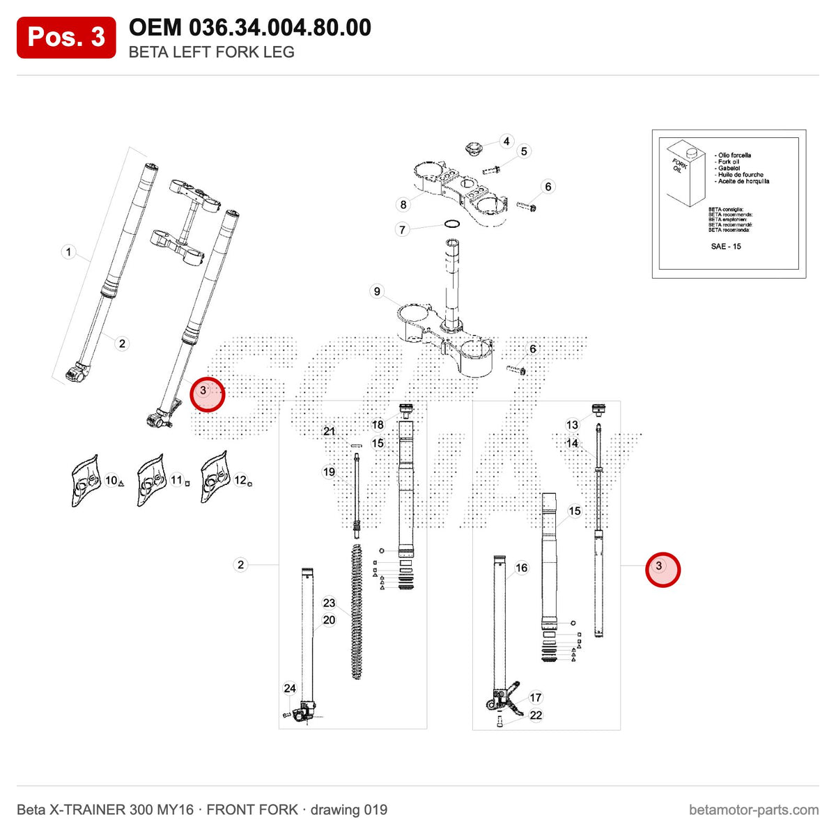 BETA LEFT FORK LEG – OEM 036.34.004.80.00, position 3 on the Beta X-TRAINER 300 MY16 front fork drawing