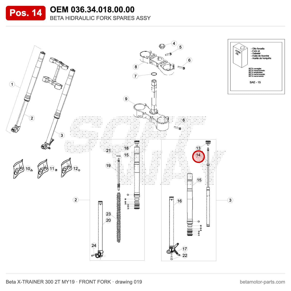 BETA HIDRAULIC FORK SPARES ASSY – OEM 036.34.018.00.00, position 14 on the Beta X-TRAINER 300 2T MY19 front fork drawing