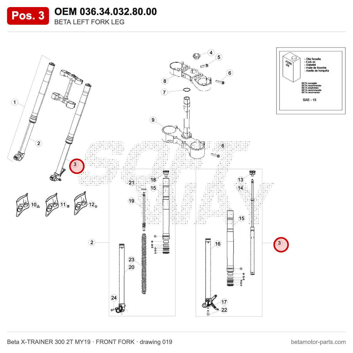 BETA LEFT FORK LEG – OEM 036.34.032.80.00, position 3 on the Beta X-TRAINER 300 2T MY19 front fork drawing