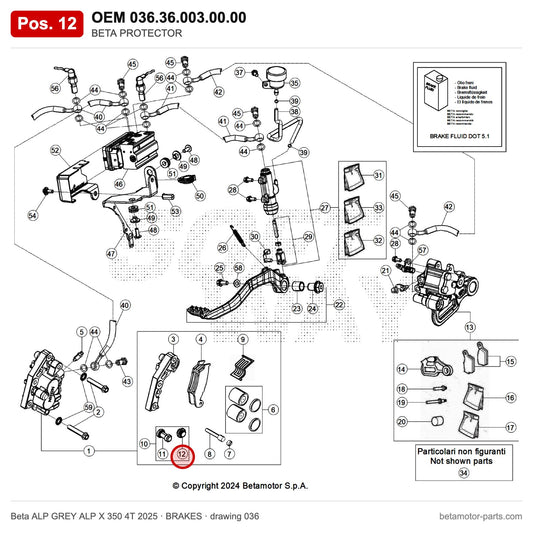BETA PROTECTOR – OEM 036.36.003.00.00, position 12 on the Beta ALP GREY ALP X 350 4T 2025 brakes drawing
