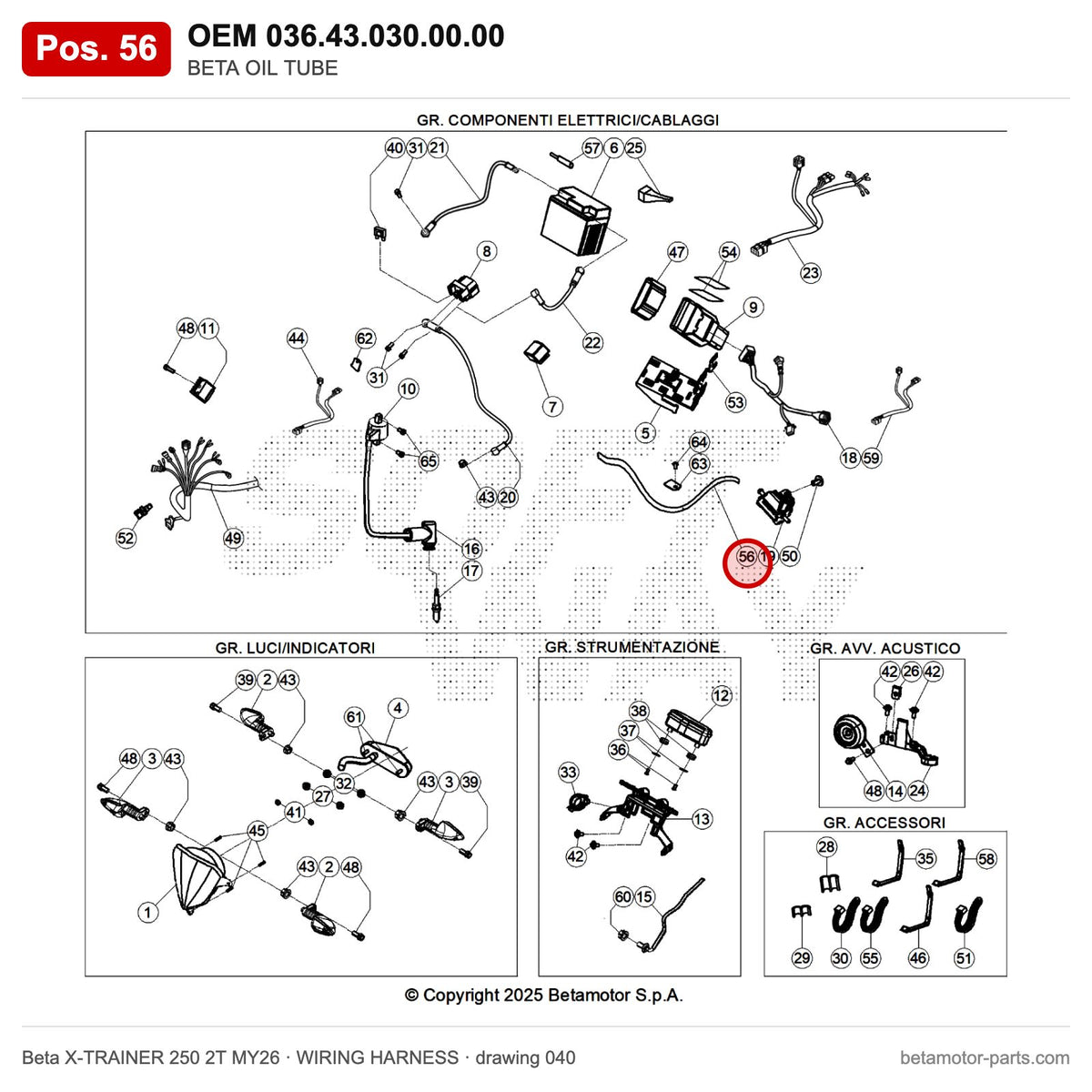 BETA OIL TUBE – OEM 036.43.030.00.00, position 56 on the Beta X-TRAINER 250 2T MY26 wiring harness drawing