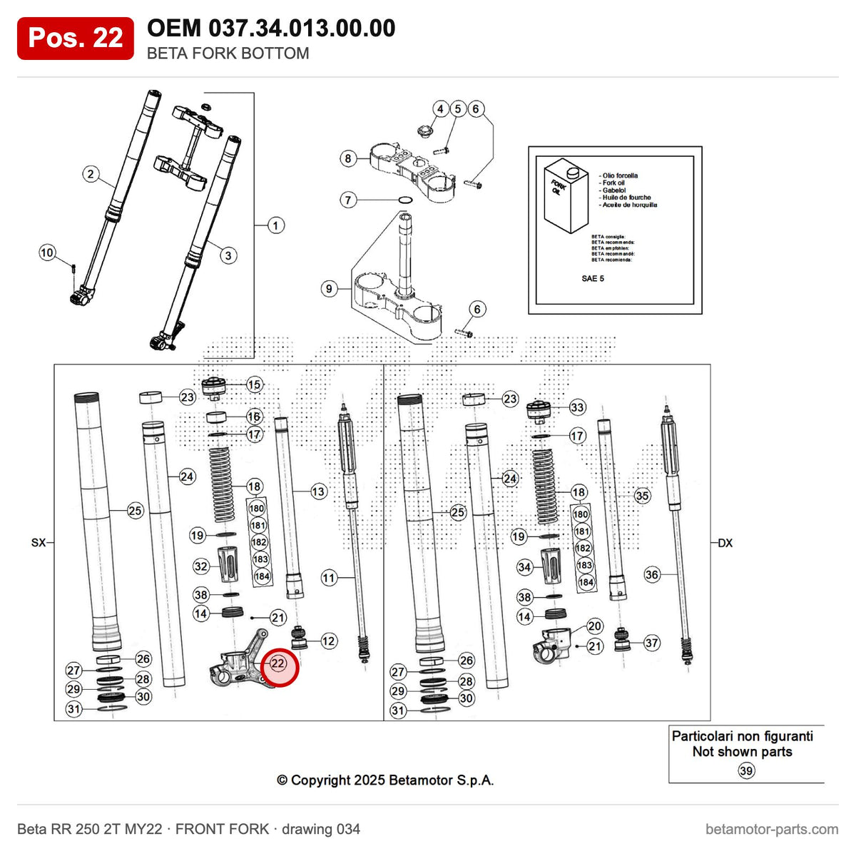 BETA FORK BOTTOM – OEM 037.34.013.00.00, position 22 on the Beta RR 250 2T MY22 front fork drawing