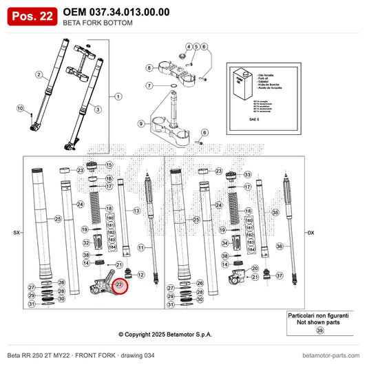BETA FORK BOTTOM – OEM 037.34.013.00.00, position 22 on the Beta RR 250 2T MY22 front fork drawing
