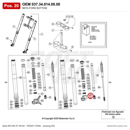 BETA FORK BOTTOM – OEM 037.34.014.00.00, position 20 on the Beta RR 250 2T MY22 front fork drawing