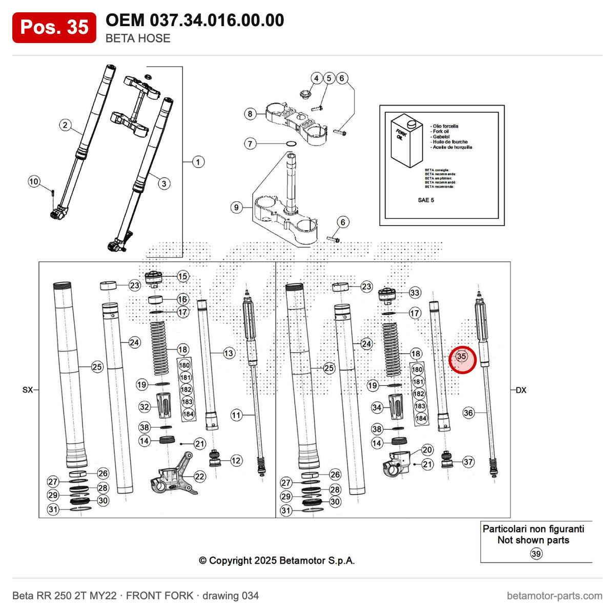 BETA HOSE – OEM 037.34.016.00.00, position 35 on the Beta RR 250 2T MY22 front fork drawing
