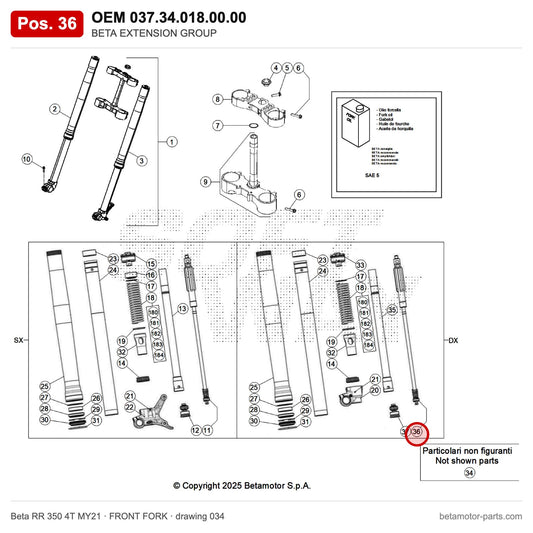 BETA EXTENSION GROUP – OEM 037.34.018.00.00, position 36 on the Beta RR 350 4T MY21 front fork drawing