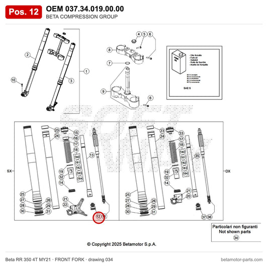 BETA COMPRESSION GROUP – OEM 037.34.019.00.00, position 12 on the Beta RR 350 4T MY21 front fork drawing