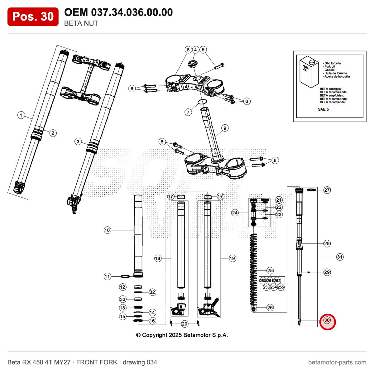 BETA NUT – OEM 037.34.036.00.00, position 30 on the Beta RX 450 4T MY27 front fork drawing