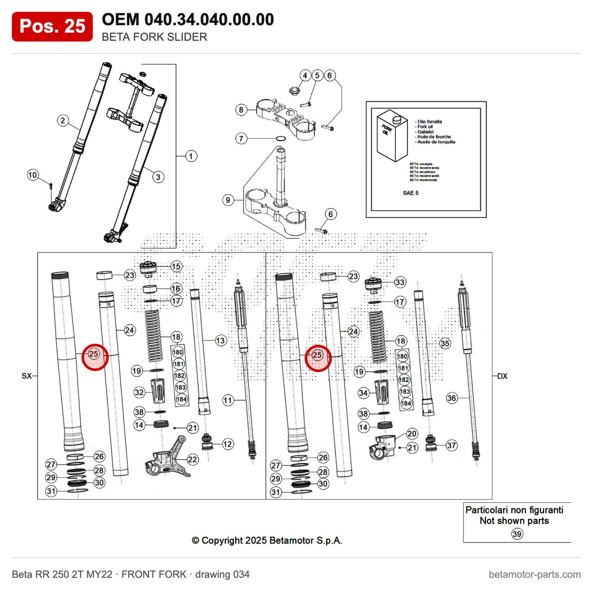 BETA FORK SLIDER – OEM 040.34.040.00.00, position 25 on the Beta RR 250 2T MY22 front fork drawing