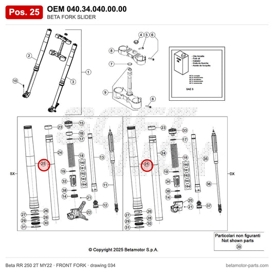 BETA FORK SLIDER – OEM 040.34.040.00.00, position 25 on the Beta RR 250 2T MY22 front fork drawing