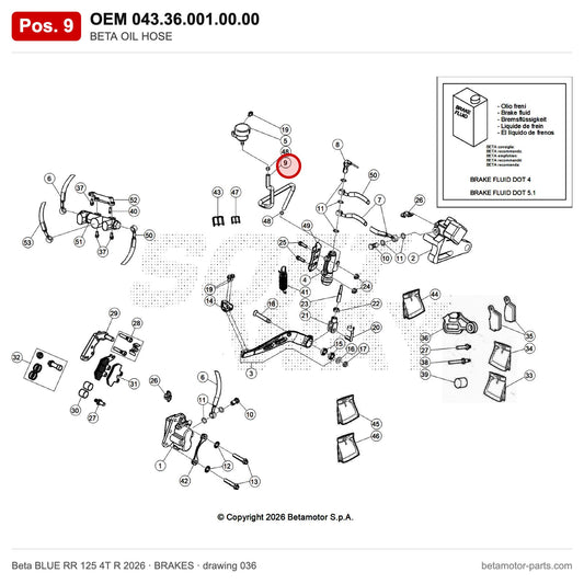 BETA OIL HOSE – OEM 043.36.001.00.00, position 9 on the Beta BLUE RR 125 4T R 2026 brakes drawing