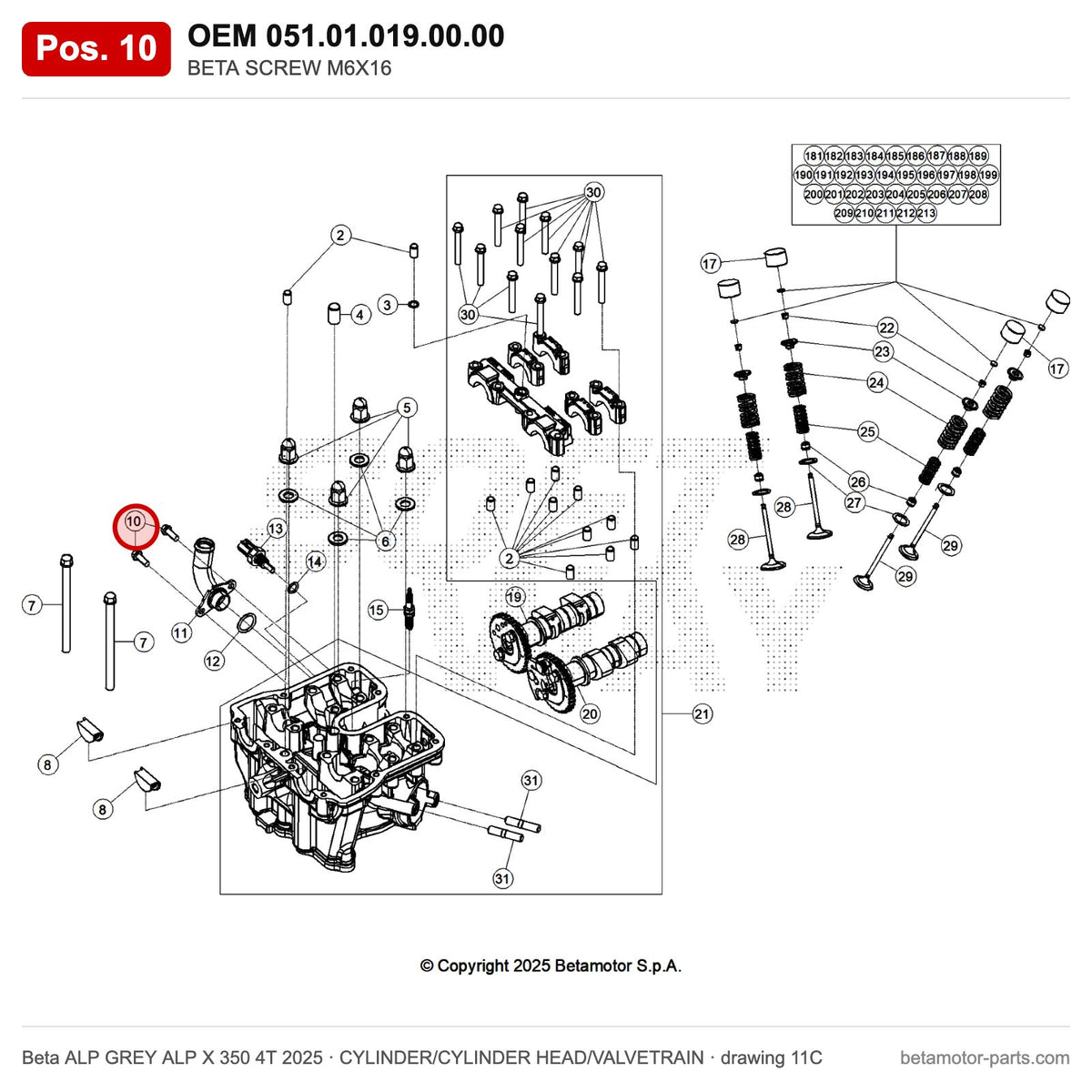 BETA SCREW M6X16 – OEM 051.01.019.00.00, position 10 on the Beta ALP GREY ALP X 350 4T 2025 cylinder/cylinder head/valvetrain drawing