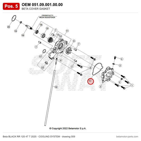 BETA COVER GASKET – OEM 051.09.001.00.00, position 5 on the Beta BLACK RR 125 4T T 2025 cooling system drawing