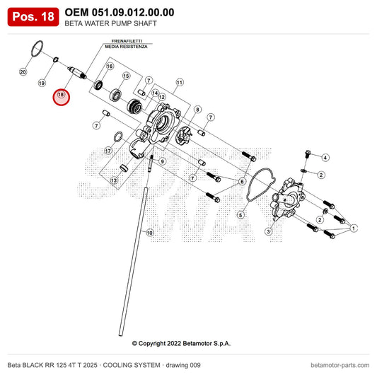 BETA WATER PUMP SHAFT – OEM 051.09.012.00.00, position 18 on the Beta BLACK RR 125 4T T 2025 cooling system drawing