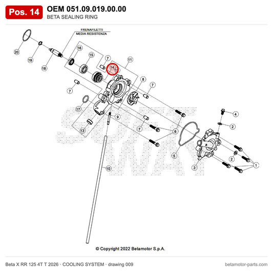 BETA SEALING RING – OEM 051.09.019.00.00, position 14 on the Beta X RR 125 4T T 2026 cooling system drawing