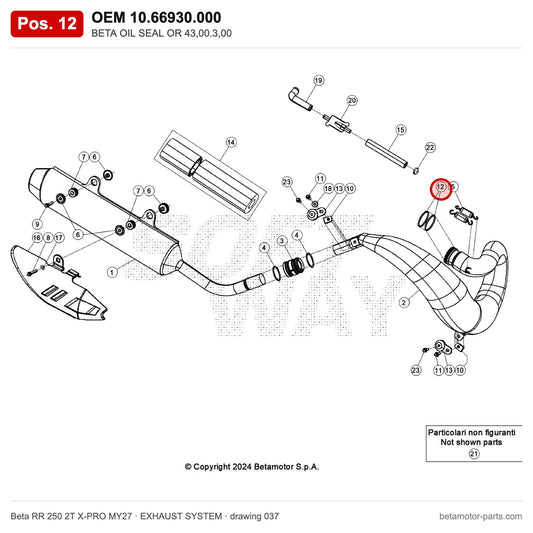 BETA OIL SEAL OR 43,00.3,00 – OEM 10.66930.000, position 12 on the Beta RR 250 2T X-PRO MY27 exhaust system drawing