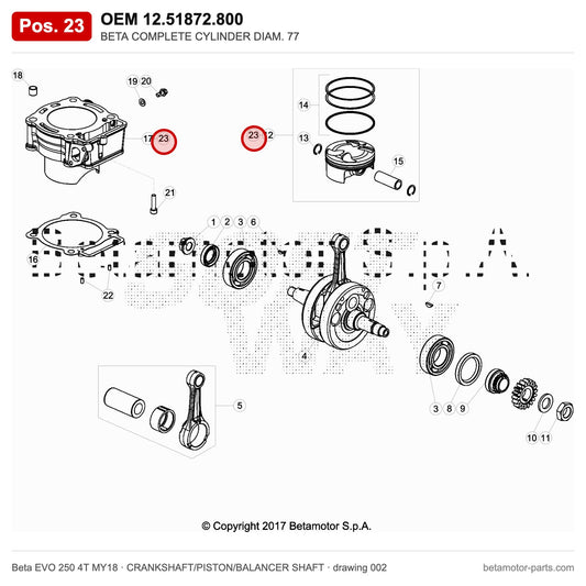 BETA COMPLETE CYLINDER DIAM. 77 – OEM 12.51872.800, position 23 on the Beta EVO 250 4T MY18 crankshaft/piston/balancer shaft drawing