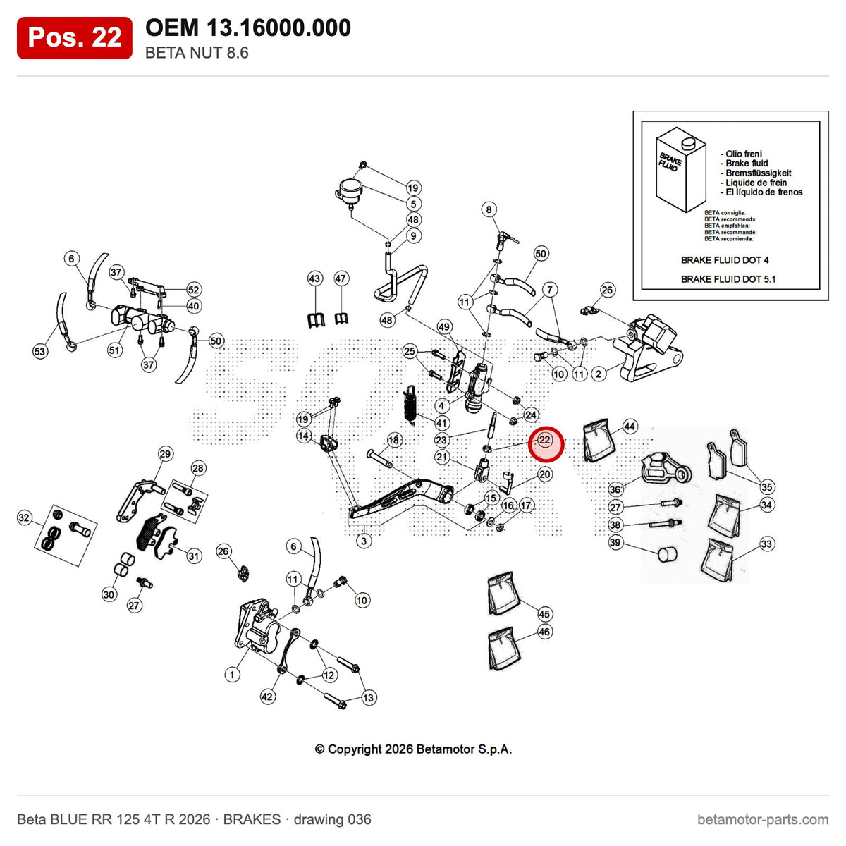 BETA NUT 8.6 – OEM 13.16000.000, position 22 on the Beta BLUE RR 125 4T R 2026 brakes drawing