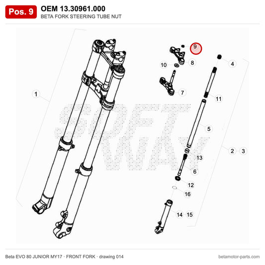 BETA FORK STEERING TUBE NUT – OEM 13.30961.000, position 9 on the Beta EVO 80 JUNIOR MY17 front fork drawing