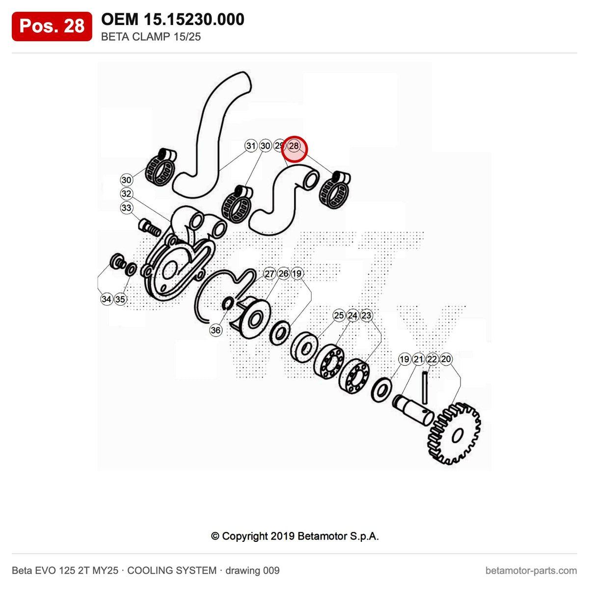 BETA CLAMP 15/25 – OEM 15.15230.000, position 28 on the Beta EVO 125 2T MY25 cooling system drawing