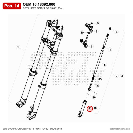 BETA LEFT FORK LEG 15.08133/4 – OEM 16.18392.000, position 14 on the Beta EVO 80 JUNIOR MY17 front fork drawing