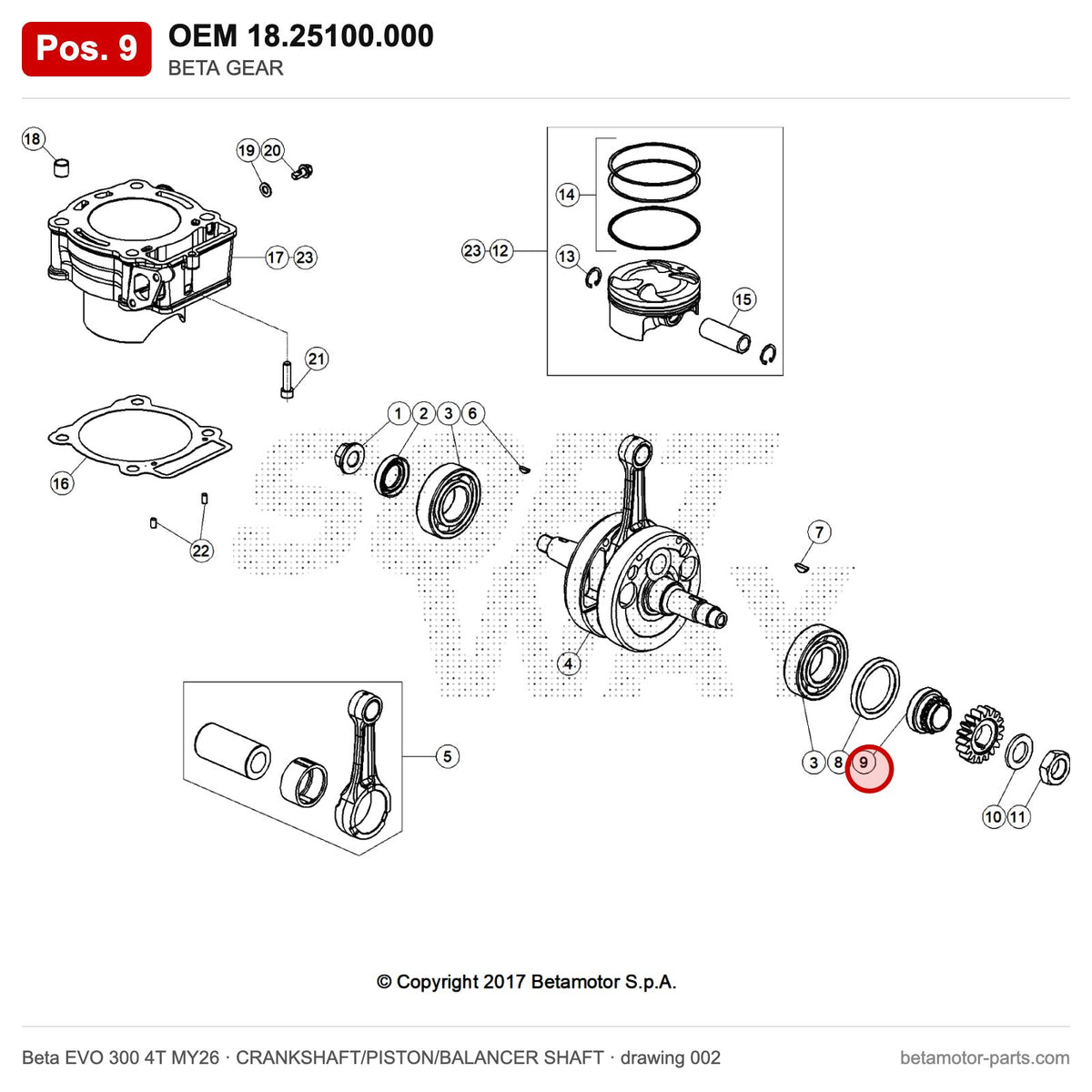BETA GEAR – OEM 18.25100.000, position 9 on the Beta EVO 300 4T MY26 crankshaft/piston/balancer shaft drawing