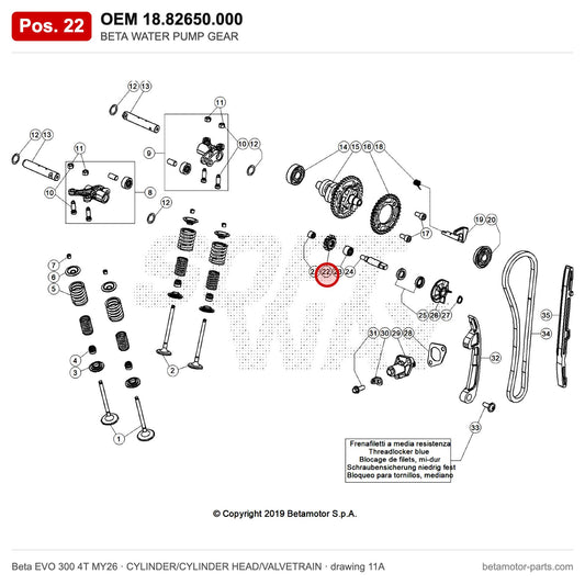 BETA WATER PUMP GEAR – OEM 18.82650.000, position 22 on the Beta EVO 300 4T MY26 cylinder/cylinder head/valvetrain drawing