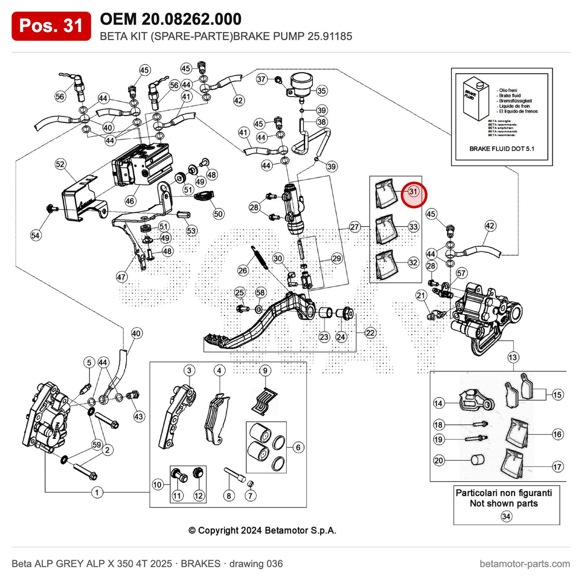 BETA KIT (SPARE-PARTE)BRAKE PUMP 25.91185 – OEM 20.08262.000, position 31 on the Beta ALP GREY ALP X 350 4T 2025 brakes drawing
