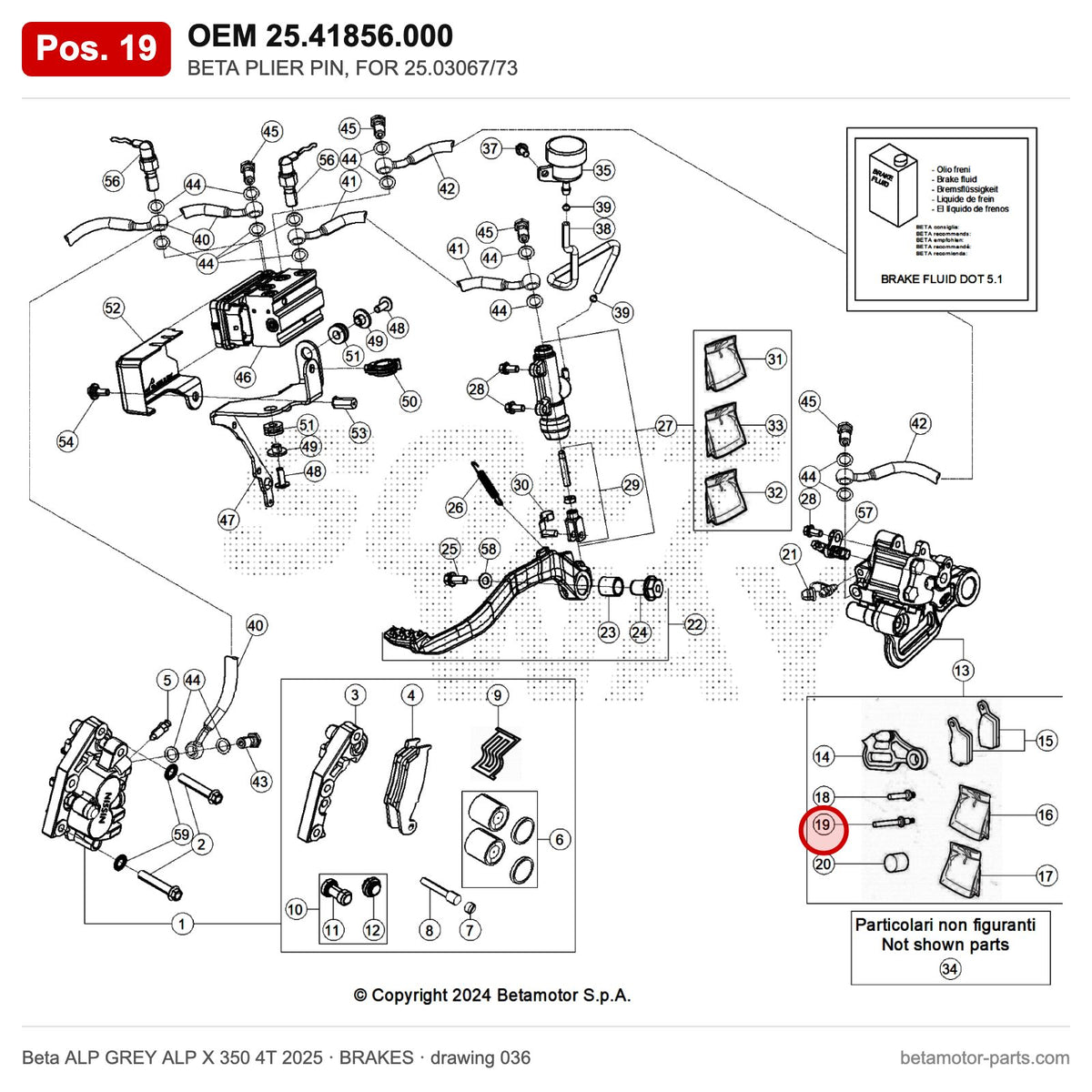 BETA PLIER PIN, FOR 25.03067/73 – OEM 25.41856.000, position 19 on the Beta ALP GREY ALP X 350 4T 2025 brakes drawing