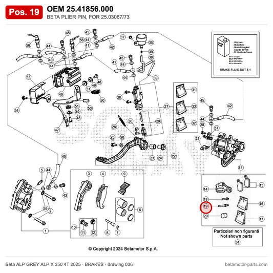 BETA PLIER PIN, FOR 25.03067/73 – OEM 25.41856.000, position 19 on the Beta ALP GREY ALP X 350 4T 2025 brakes drawing