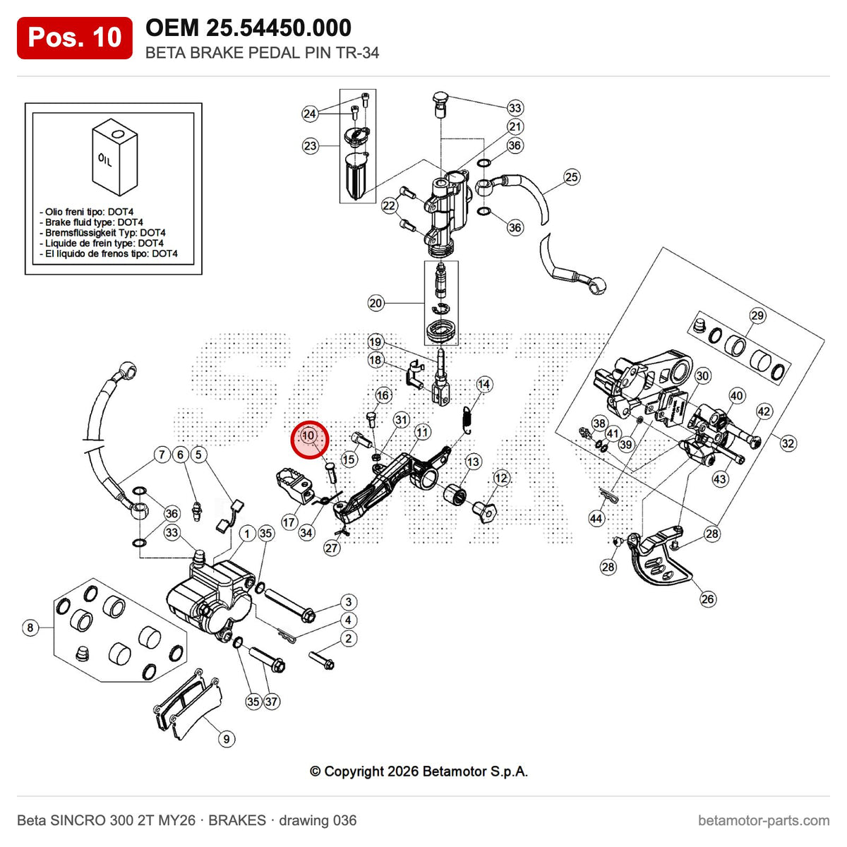BETA BRAKE PEDAL PIN TR-34 – OEM 25.54450.000, position 10 on the Beta SINCRO 300 2T MY26 brakes drawing