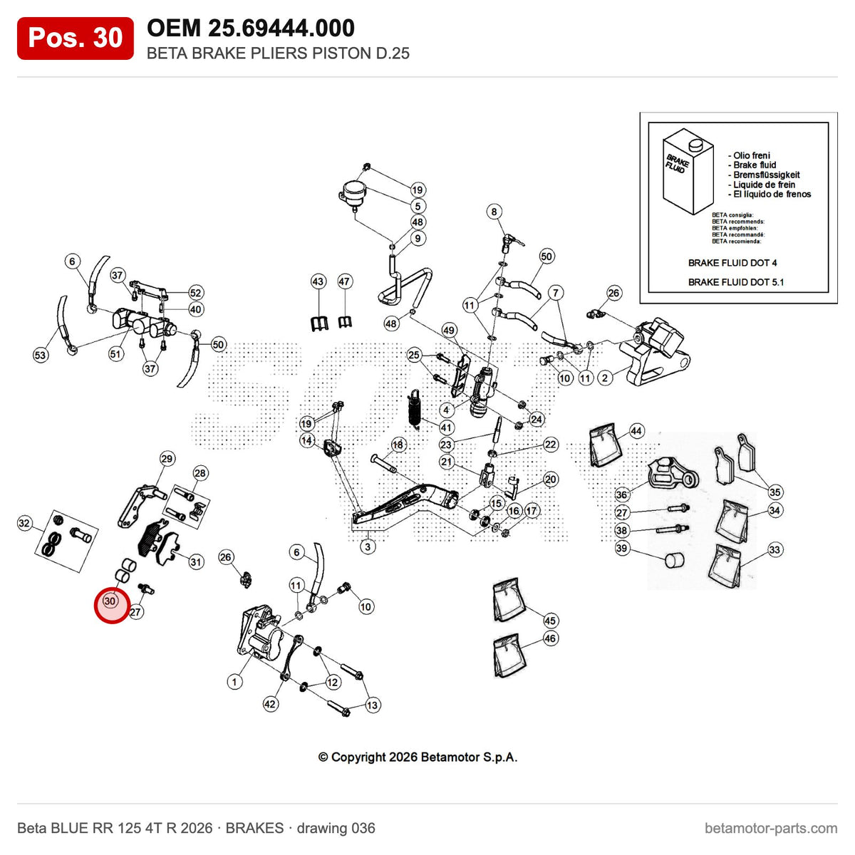 BETA BRAKE PLIERS PISTON D.25 – OEM 25.69444.000, position 30 on the Beta BLUE RR 125 4T R 2026 brakes drawing