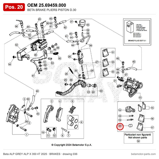 BETA BRAKE PLIERS PISTON D.30 – OEM 25.69459.000, position 20 on the Beta ALP GREY ALP X 350 4T 2025 brakes drawing