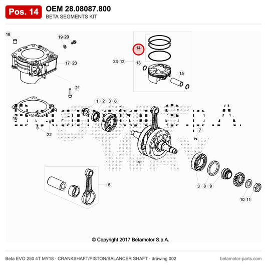 BETA SEGMENTS KIT – OEM 28.08087.800, position 14 on the Beta EVO 250 4T MY18 crankshaft/piston/balancer shaft drawing