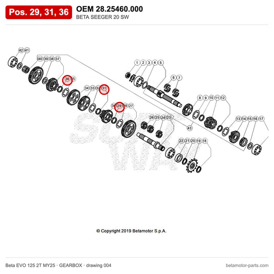 BETA SEEGER 20 SW – OEM 28.25460.000, positions 29,31,36 on the Beta EVO 125 2T MY25 gearbox drawing