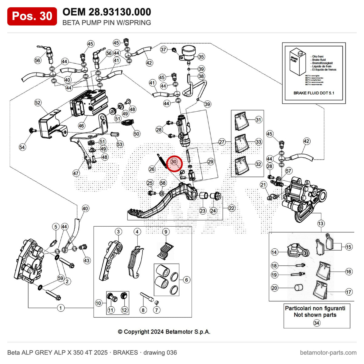 BETA PUMP PIN W/SPRING – OEM 28.93130.000, position 30 on the Beta ALP GREY ALP X 350 4T 2025 brakes drawing