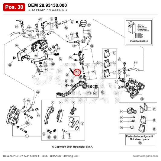 BETA PUMP PIN W/SPRING – OEM 28.93130.000, position 30 on the Beta ALP GREY ALP X 350 4T 2025 brakes drawing