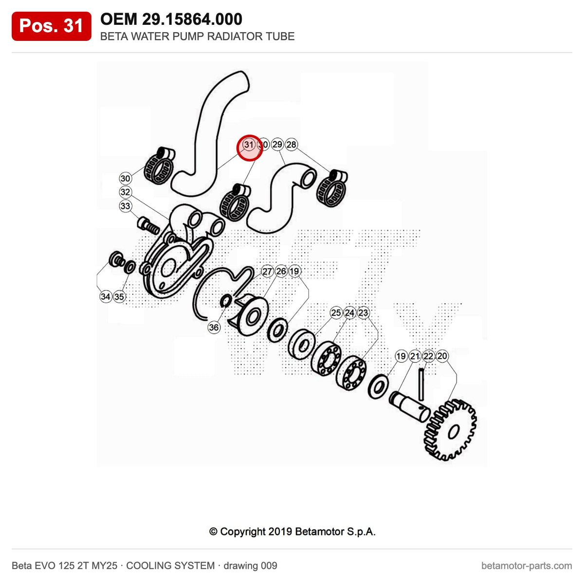 BETA WATER PUMP RADIATOR TUBE – OEM 29.15864.000, position 31 on the Beta EVO 125 2T MY25 cooling system drawing