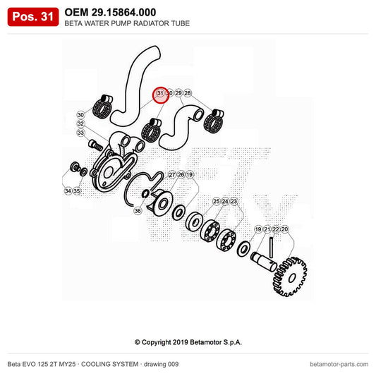BETA WATER PUMP RADIATOR TUBE – OEM 29.15864.000, position 31 on the Beta EVO 125 2T MY25 cooling system drawing