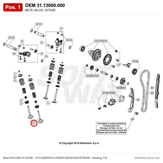 BETA VALVE, INTAKE – OEM 31.13600.000, position 1 on the Beta EVO 300 4T MY26 cylinder/cylinder head/valvetrain drawing